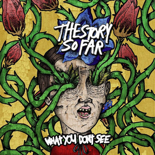 STORY SO FAR - WHAT YOU DON'T SEESTORY SO FAR - WHAT YOU DONT SEE.jpg